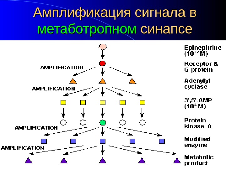 Презентация pered sign