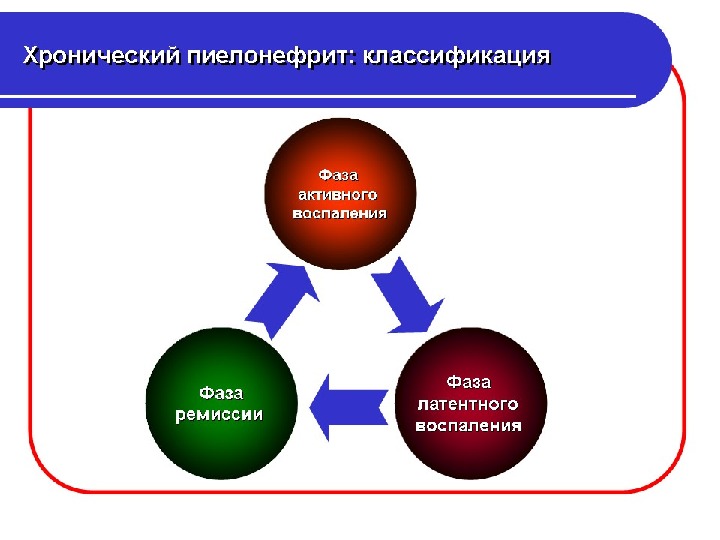 Презентация пиелонефрит NEW