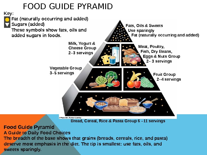 Human diet. Food Guide Pyramid. Пирамида еды по английскому языку. Пирамида питания по английскому языку. Пищевая пирамида на английском языке.