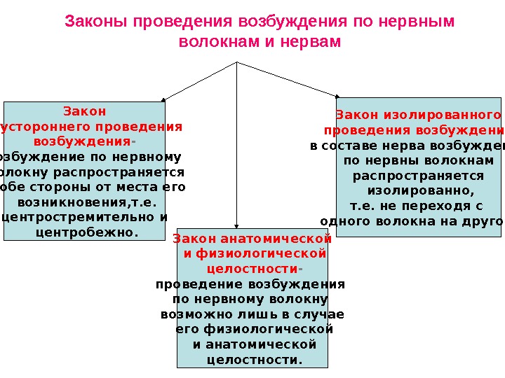 Проводить закон. Законы проведения возбуждения по нервным волокнам и нервам. Законы проведения раздражения по нервному волокну. Закон изолированного проведения возбуждения по нерву. Закон анатомической и функциональной целостности нервного волокна.