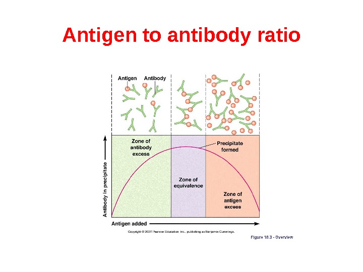 Agglutination and Precipitation Reactions Antigen An