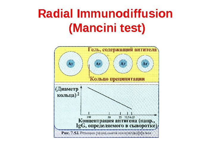 Радиальная иммунодиффузия по манчини презентация - 98 фото
