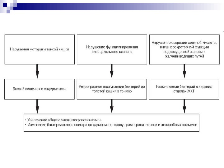 Пробиотики и пребиотики презентация