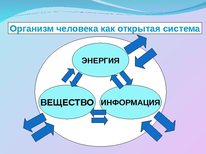 Раскрыть организм. Организм открытая система. Открытость биологических систем. Организмы открытые системы. Человек открытая система.