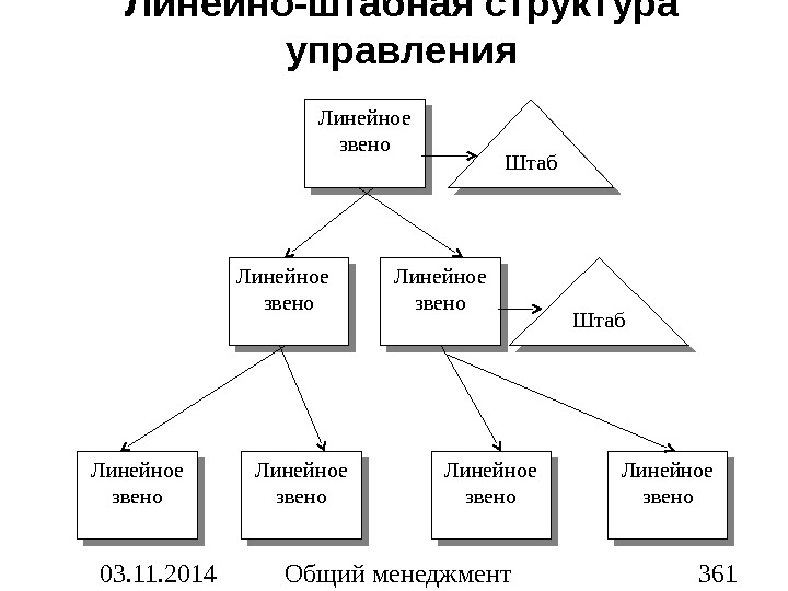 Какие специфические функции выполняют линейные звенья структуры