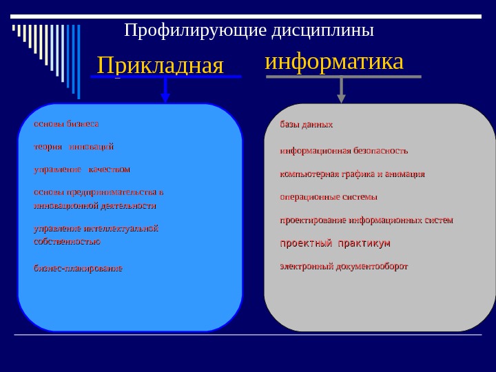 Прикладная информатика профили. Направление Прикладная Информатика. Прикладные направления информатики. Профилирование (Информатика). Основные направления в информатике.