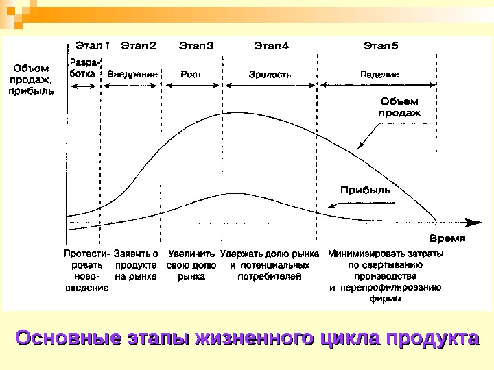 Этапы жизненного цикла товара