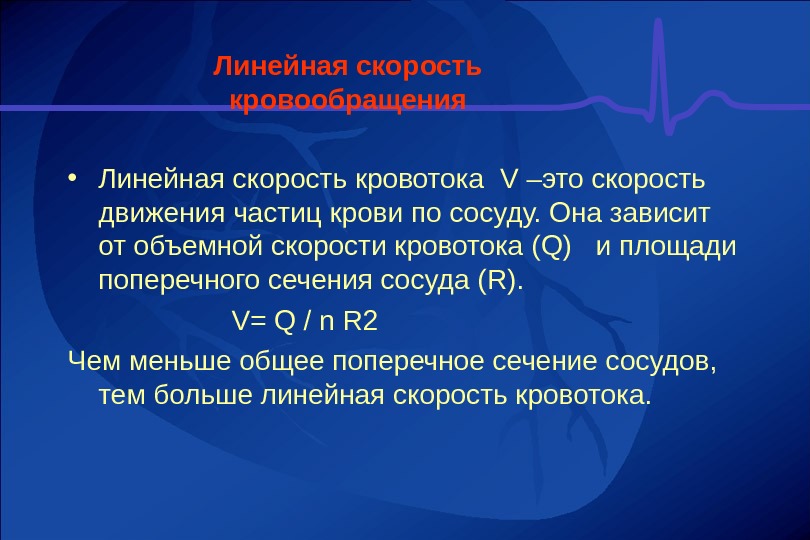 Линейная скорость кровотока в артериях