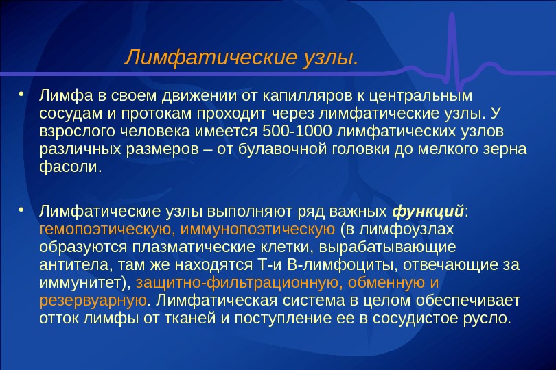 Функции лимфатических узлов. Значение и функции лимфатического узла. Основная функция лимфатических узлов. Какую функцию выполняют лимфатические узлы.