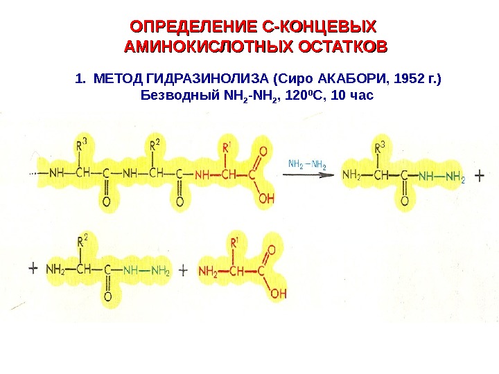 Информация о первичной структуре белка. Методы установления первичной структуры белка. Методы изучения первичной структуры белка. Способы определения первичной структуры белка. Методы определения первичной структуры белка Эдмена и акабори.