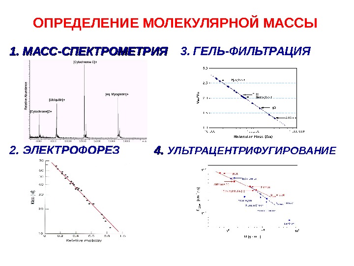 Дайте определение молекулы