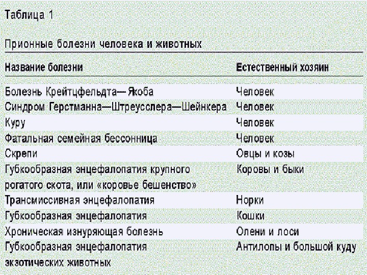 Прионные болезни фото