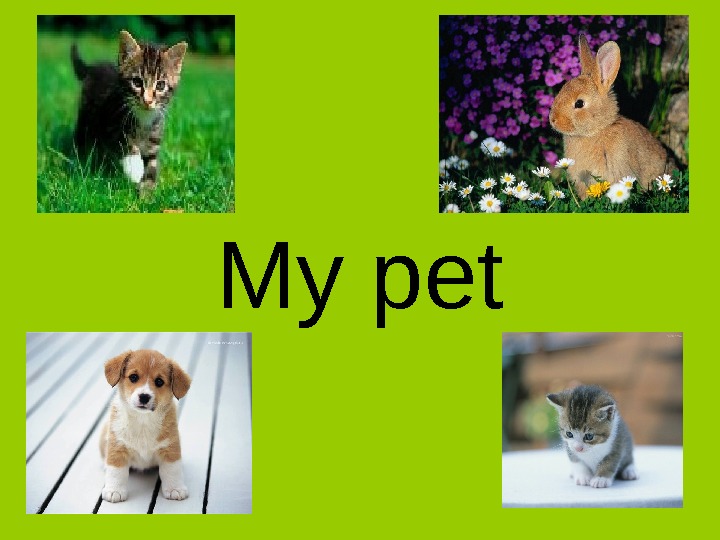 Проект my pet 2 класс по английскому языку