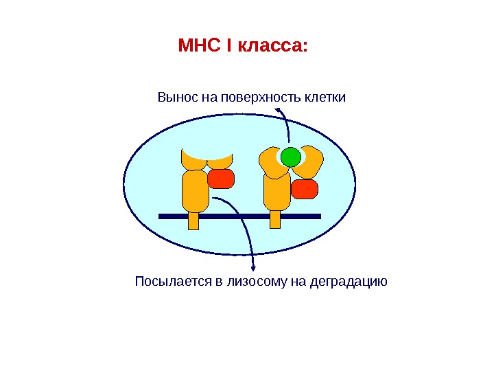 Вынесите из класса лишние стулья