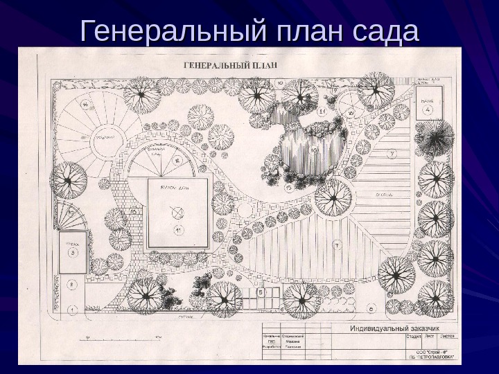 Генплан парка чертеж