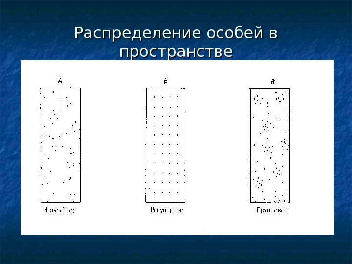 Пространство распределений. Распределение особей в пространстве. Типы распределения особей в пространстве. Типы распределения популяций в пространстве. Равномерное распределение особей в пространстве.