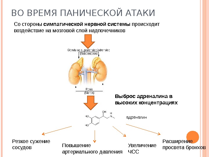 Презентация на тему психосоматика