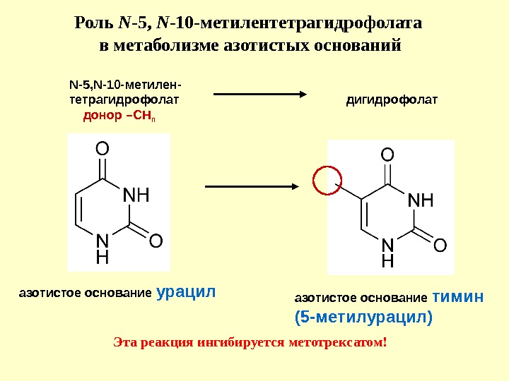 5 10 n n