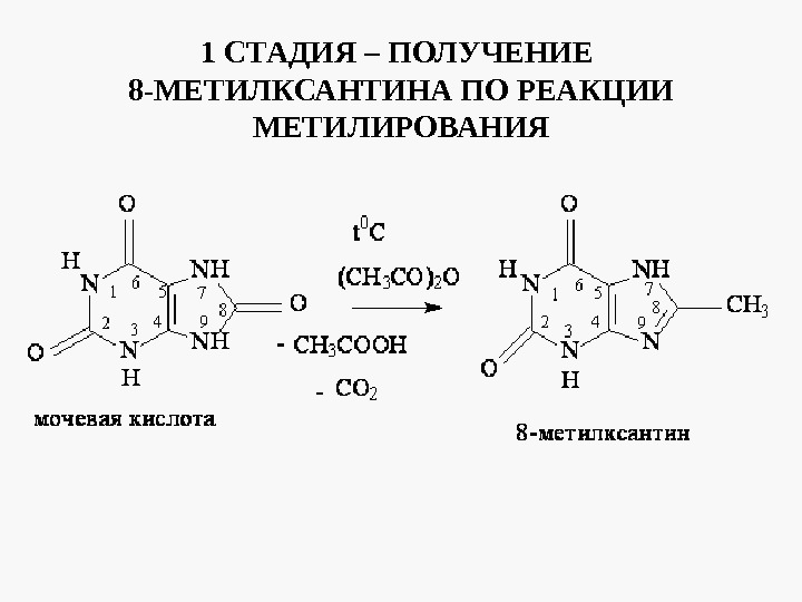 Пурина индейка схема