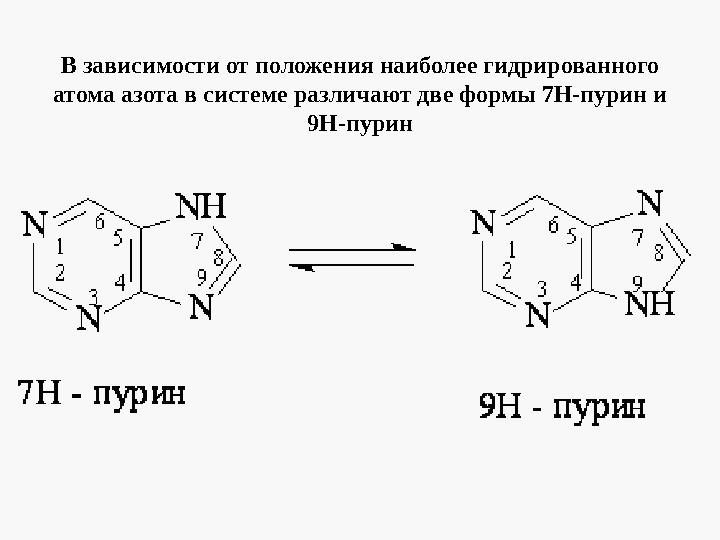 Система пурина