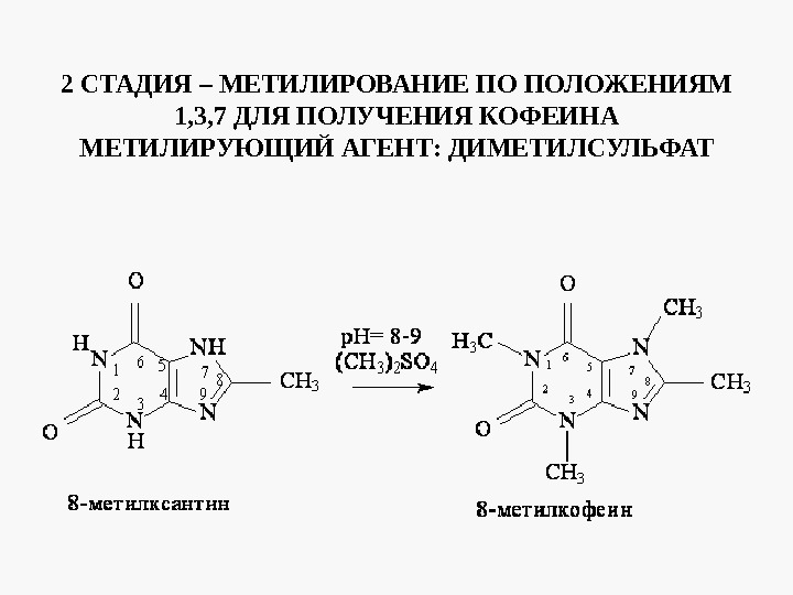 Пурины это. Диметилсульфат + ксантин. Синтез кофеина из мочевой кислоты. Ксантин метилирование. Синтез кофеина из ксантина.