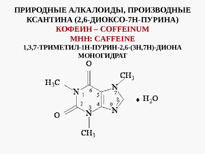 Пурины это