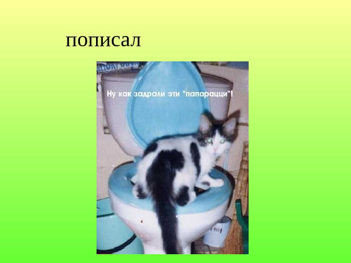 Писаю по капле. Пописал. Задраить это. Удачи пописать. Пописать как пишется.