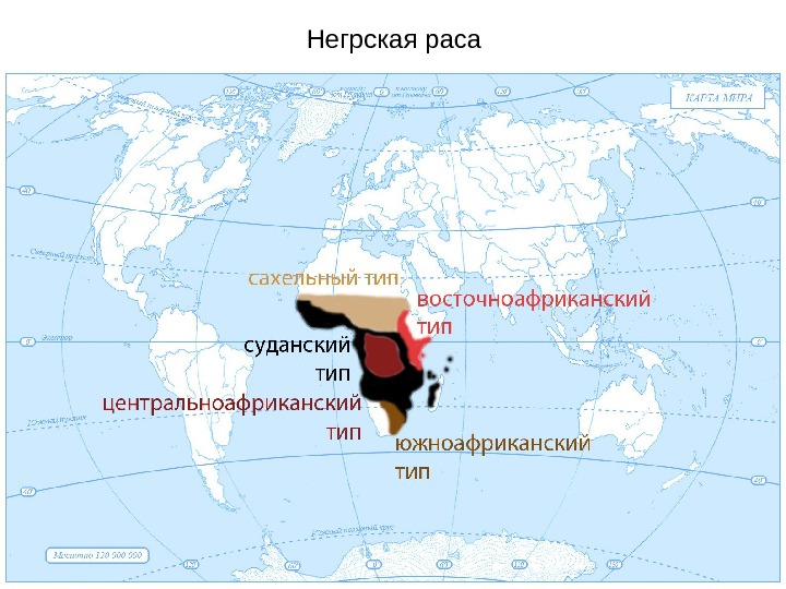 Ареалы рас. Негроидная раса распространение. Распространение негроидной расы карта. Карта расселения негроидной расы. Расселение негроидной расы.