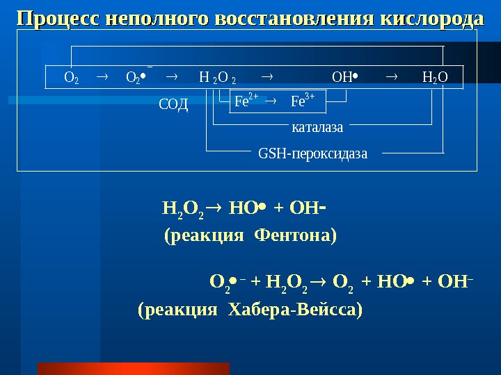 Диаграмма фентона девочки