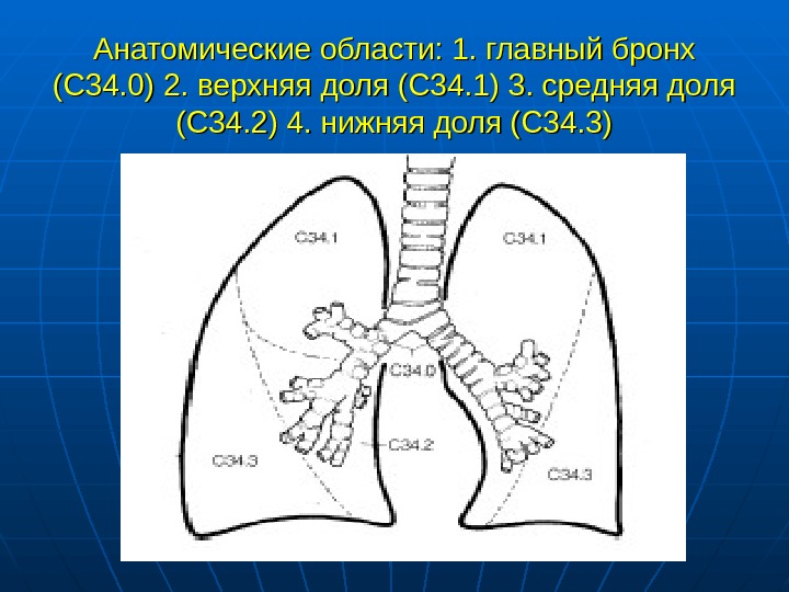 Рак легкого презентация онкология