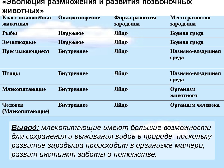 Презентация размножение и развитие человека 8 класс биология