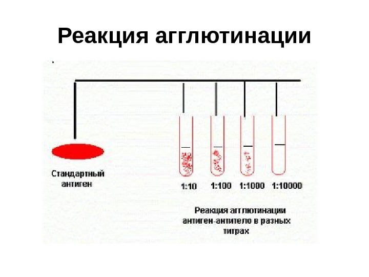 Реакция видаля микробиология схема