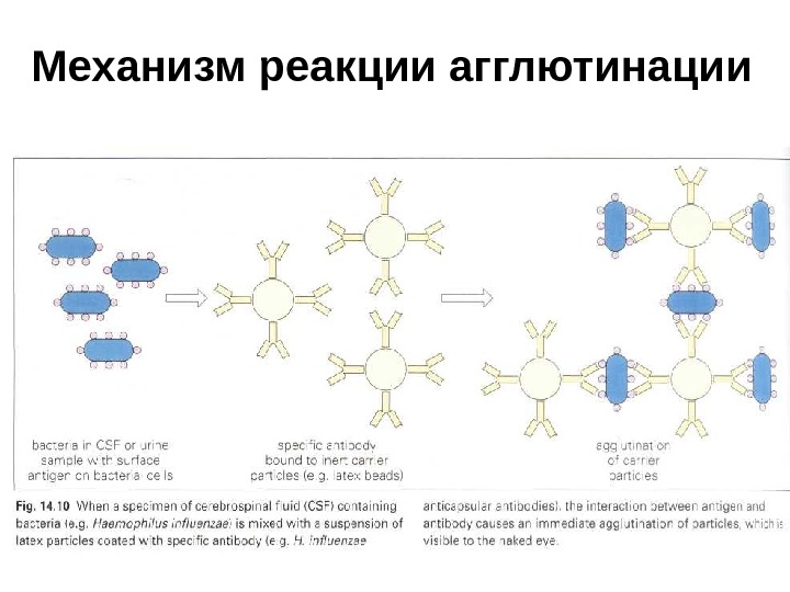 Выберите реагенты которые необходимо использовать чтобы реакция прошла согласно схеме ag br agbr