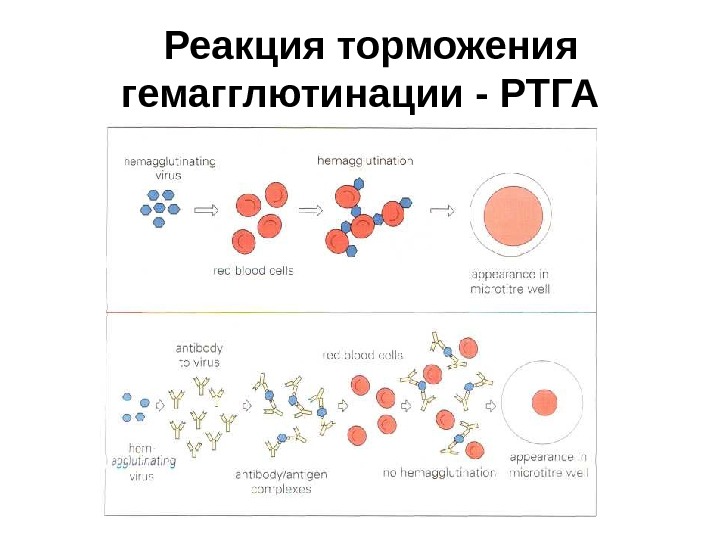 Выберите реагенты которые необходимо использовать чтобы реакция прошла согласно схеме ag br agbr