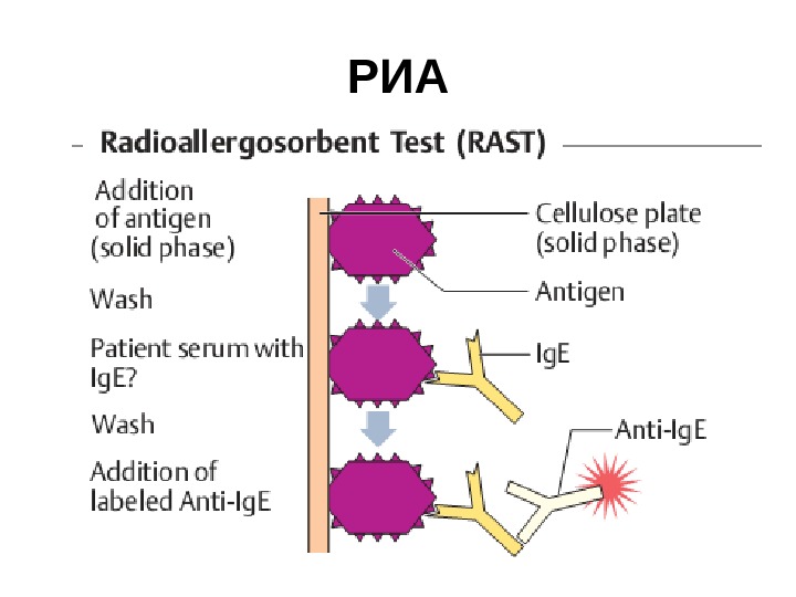 Радиоиммунный анализ схема