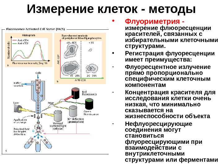 Блок схема флуориметра