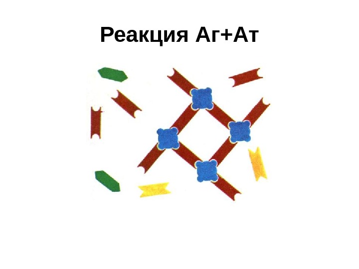 Серологические реакции рисунки