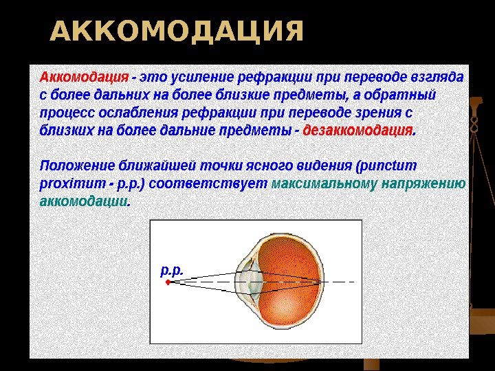 Аккомодация офтальмология презентация