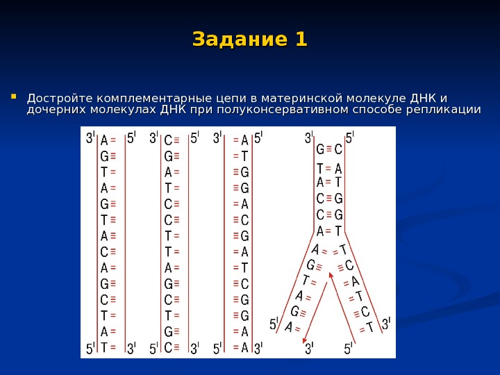 Комплементарные цепи. Достроить цепочку ДНК. Достроить молекулу ДНК. Достройте цепь ДНК. Комплементарное достраивание ДНК это.