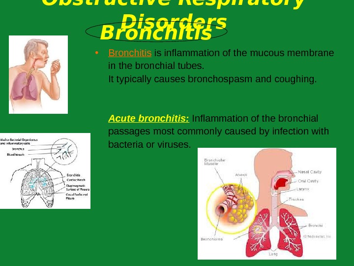 Презентация respiratory diseases