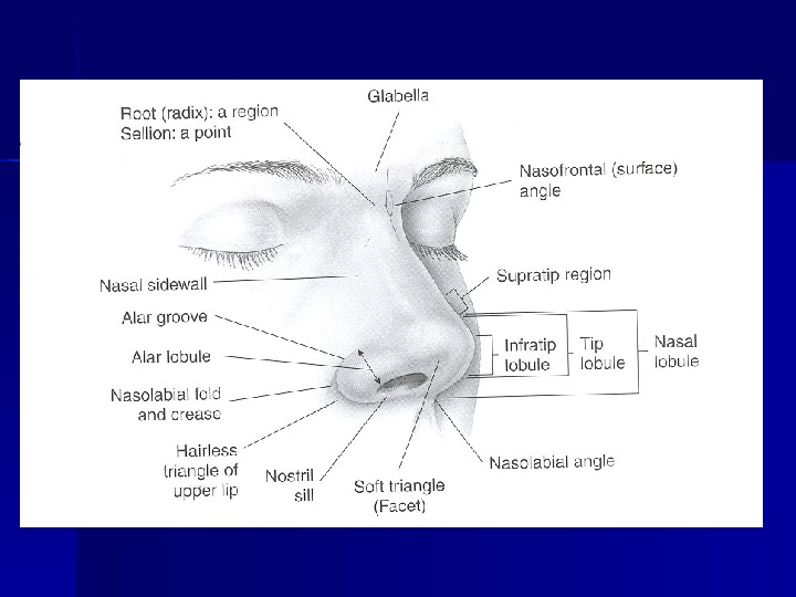 Rhinoplasty- Nasal Tip. Tip Jean Paul Font, MD