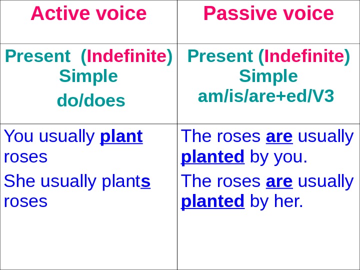passive voice examples sentences