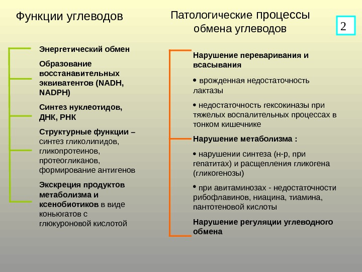 Нарушение обмена углеводов липидов. Липиды в кле ке функции.