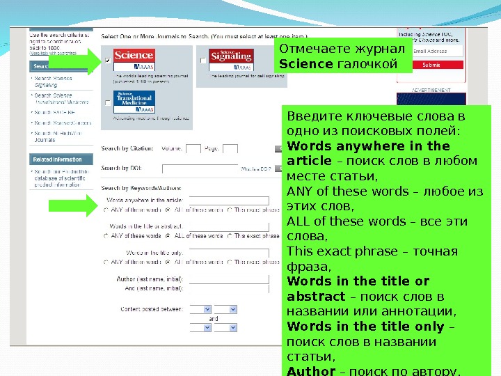 Что такое ключевое слово this c. Текст в поле поиска сайта. Academic or Scientific text in English.