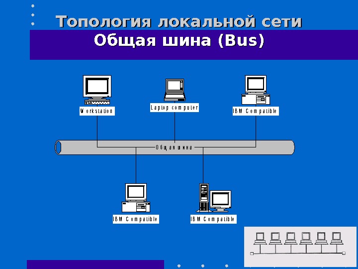 Шина сети. Топология общая шина. Топология локальных сетей.