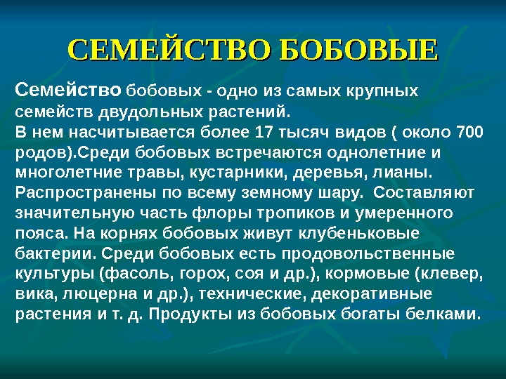 Семейство мотыльковые презентация