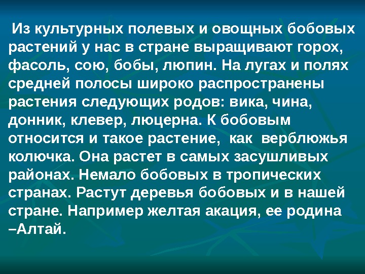 Презентация Семейство бобовые