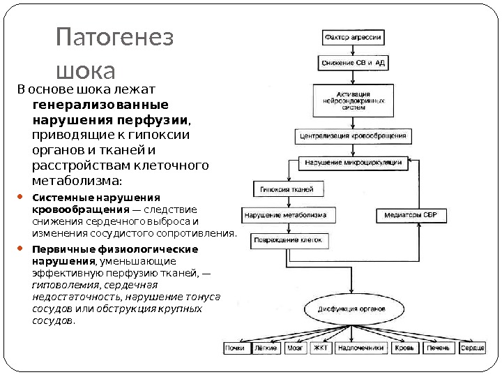 Патофизиология в схемах и таблицах 2 часть