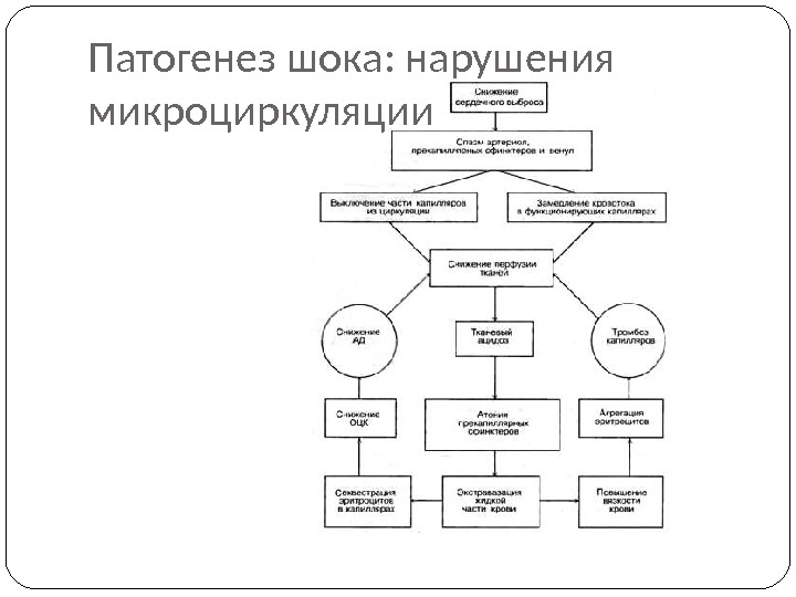 Патогенез шока схема - 88 фото