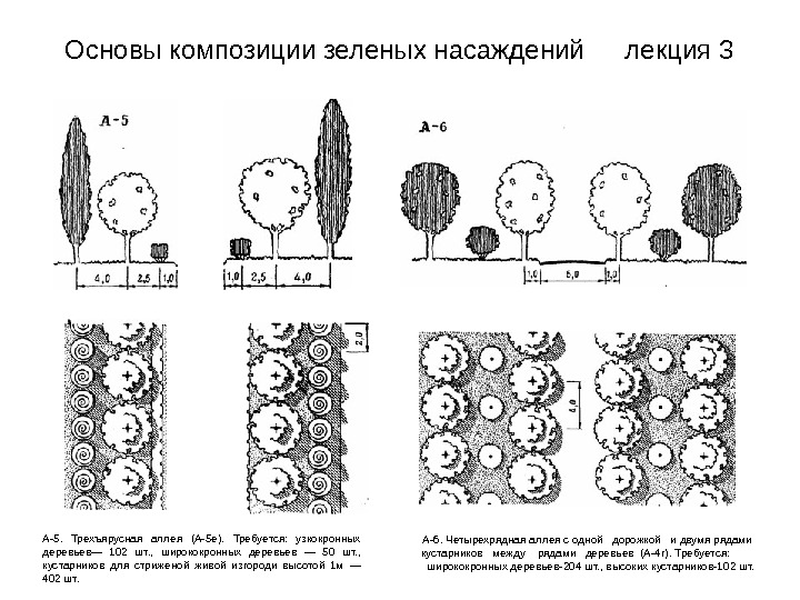 Стоимость Зеленых Насаждений